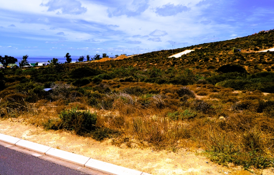 0 Bedroom Property for Sale in Steenbergs Cove Western Cape